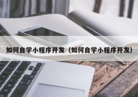 如何自学小程序开发（如何自学小程序开发）