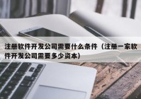 注册软件开发公司需要什么条件（注册一家软件开发公司需要多少资本）