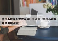 微信小程序开发教程用什么语言（微信小程序开发用啥语言）