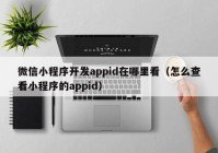 微信小程序开发appid在哪里看（怎么查看小程序的appid）