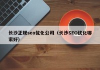 长沙正规seo优化公司（长沙SEO优化哪家好）