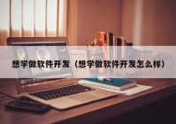 想学做软件开发（想学做软件开发怎么样）