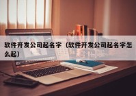 软件开发公司起名字（软件开发公司起名字怎么起）