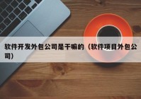 软件开发外包公司是干嘛的（软件项目外包公司）