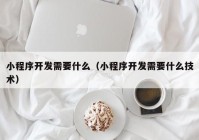 小程序开发需要什么（小程序开发需要什么技术）