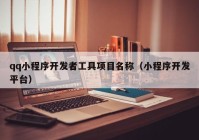 qq小程序开发者工具项目名称（小程序开发平台）