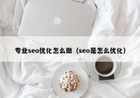 专业seo优化怎么做（seo是怎么优化）