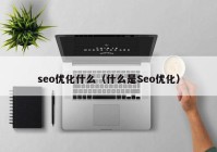 seo优化什么（什么是Seo优化）