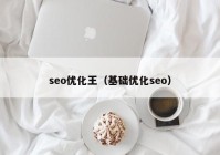 seo优化王（基础优化seo）