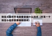 微信小程序开发需要掌握什么技术（开发一个微信小程序需要哪些技术）