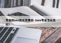 专业的seo优化效果好（seo专业怎么优化）