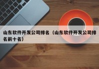 山东软件开发公司排名（山东软件开发公司排名前十名）