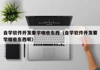 自学软件开发要学哪些东西（自学软件开发要学哪些东西呢）