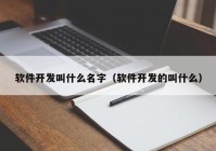 软件开发叫什么名字（软件开发的叫什么）