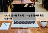 app小程序开发公司（app小程序开发公司排行）