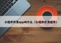 小程序开发app叫什么（小程序开发程序）