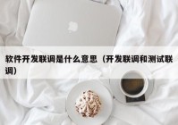 软件开发联调是什么意思（开发联调和测试联调）