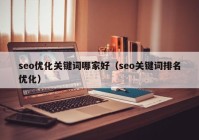 seo优化关键词哪家好（seo关键词排名优化）