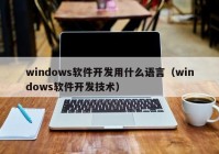 windows软件开发用什么语言（windows软件开发技术）