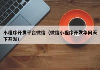 小程序开发平台微信（微信小程序开发华网天下开发）