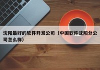 沈阳最好的软件开发公司（中国软件沈阳分公司怎么样）