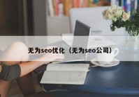 无为seo优化（无为seo公司）