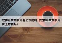 软件开发的公司有上市的吗（软件开发的公司有上市的吗）